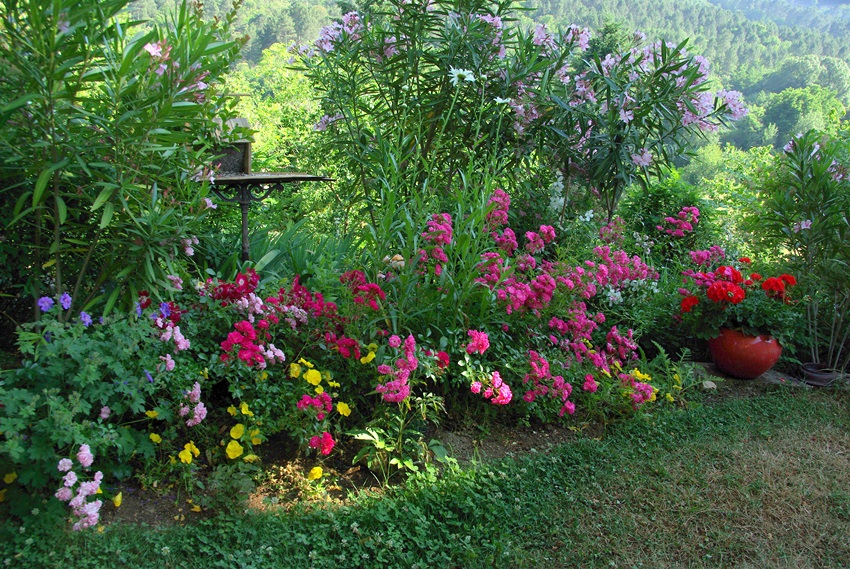 Vive La Riviera Et Le Laurier Rose Decorosiers